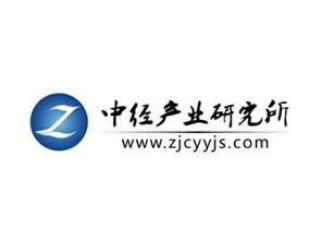 中國網(wǎng)絡(luò)安全市場運(yùn)營形勢及前景發(fā)展規(guī)劃分析報(bào)告（2018-2020） 聚焦網(wǎng)絡(luò)與信息安全軟件開發(fā)
