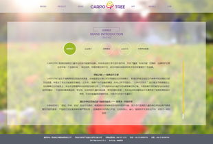 卡波樹童裝 品質(zhì)與創(chuàng)新并舉，助力外貿(mào)銷售新高度
